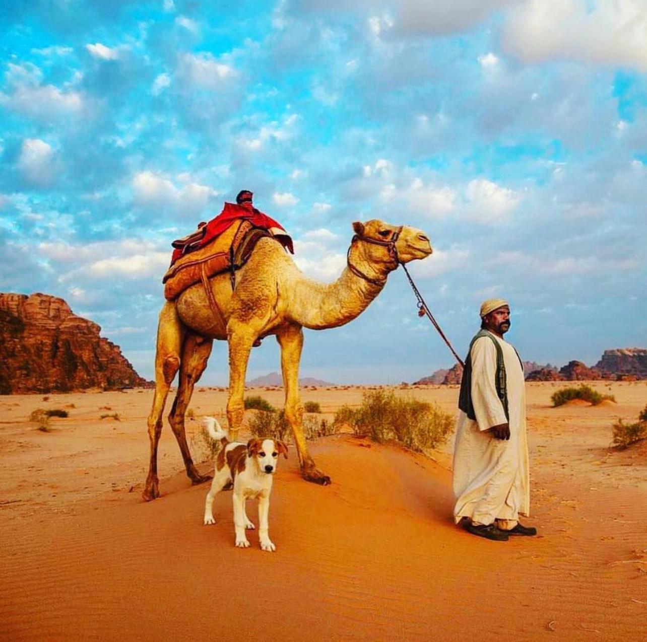 Camping Desert Bedouin Adventure