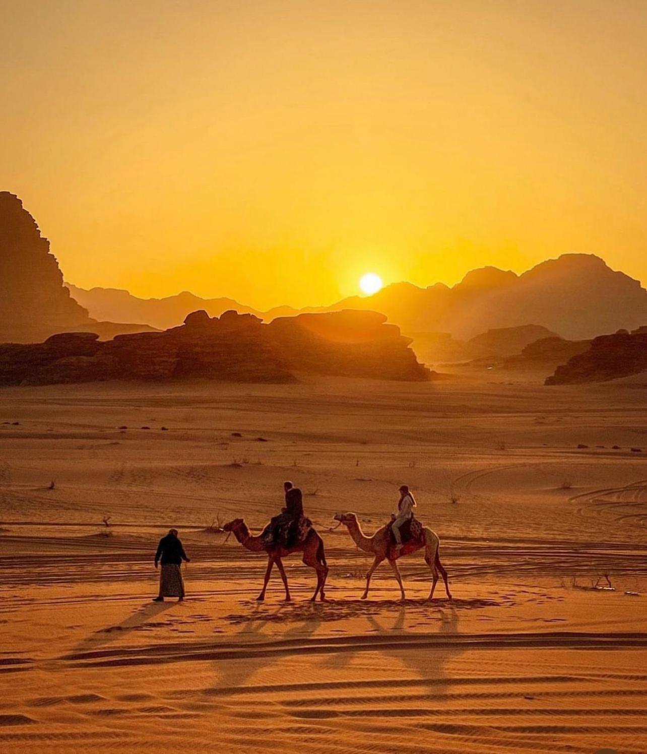 Desert Bedouin Adventure Camping Wadi Rum